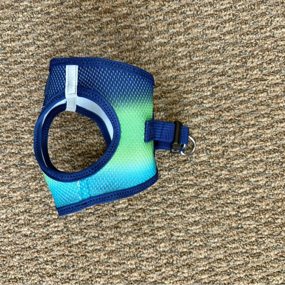 Blue-Green Choke Free Mesh Dog Harness Small